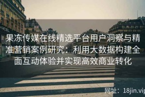 果冻传媒在线精选平台用户洞察与精准营销案例研究：利用大数据构建全面互动体验并实现高效商业转化