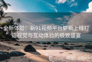 全新体验：新91视频平台崭新上线打造视觉与互动体验的极致盛宴