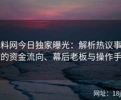 黑料网今日独家曝光：解析热议事件中的资金流向、幕后老板与操作手法