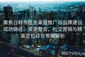 聚焦日韩专区全渠道推广与品牌建设成功路径：资源整合、社交营销与精准定位综合策略解析