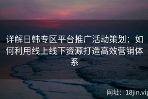 详解日韩专区平台推广活动策划：如何利用线上线下资源打造高效营销体系