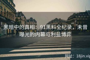 黑暗中的真相：91黑料全纪录，未曾曝光的内幕与利益博弈