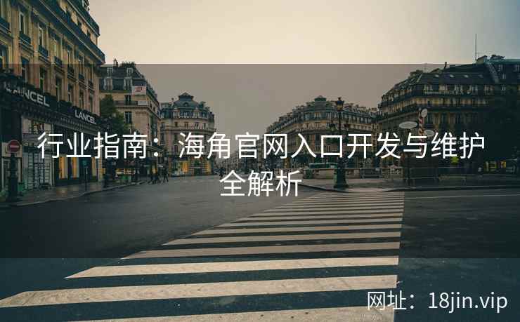 行业指南：海角官网入口开发与维护全解析