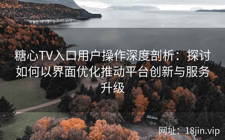 糖心TV入口用户操作深度剖析：探讨如何以界面优化推动平台创新与服务升级