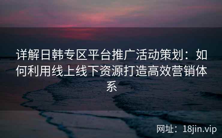 详解日韩专区平台推广活动策划：如何利用线上线下资源打造高效营销体系