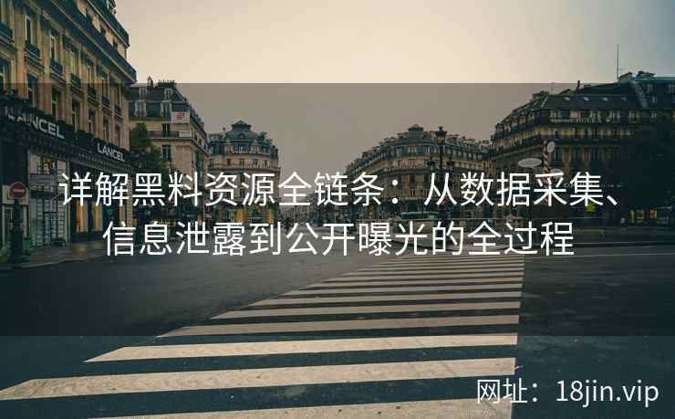 详解黑料资源全链条：从数据采集、信息泄露到公开曝光的全过程