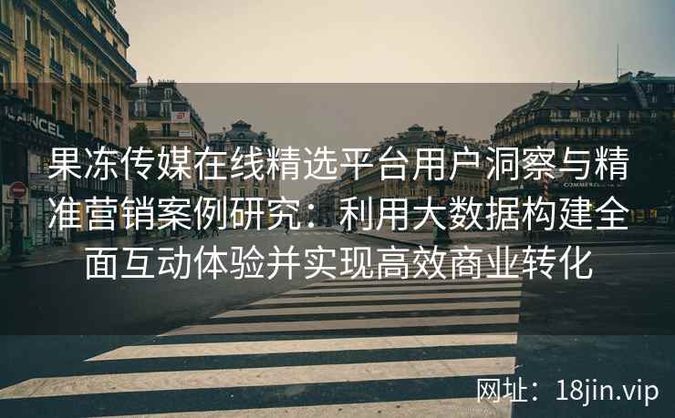 果冻传媒在线精选平台用户洞察与精准营销案例研究：利用大数据构建全面互动体验并实现高效商业转化