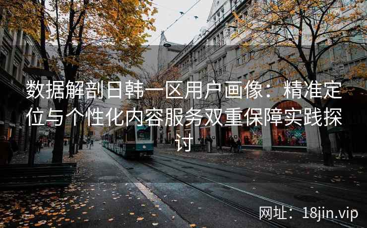 数据解剖日韩一区用户画像：精准定位与个性化内容服务双重保障实践探讨