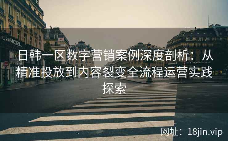 日韩一区数字营销案例深度剖析：从精准投放到内容裂变全流程运营实践探索